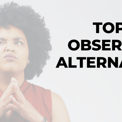 Top 3 Observe AI Alternatives